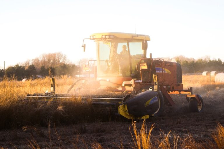 Photo Smart farming