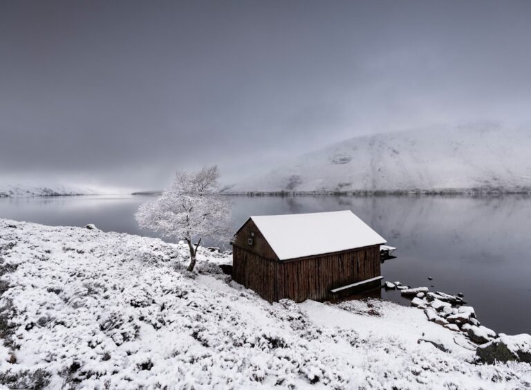 Photo Snow-covered landscape