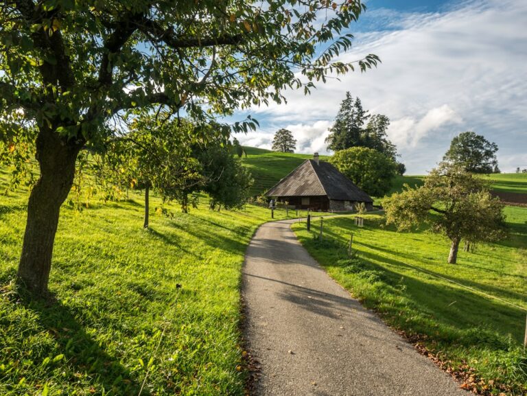 Photo Farmhouse landscape