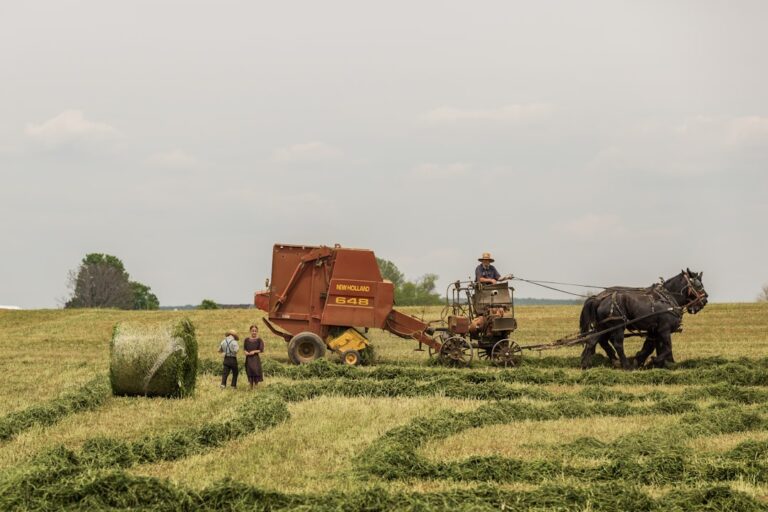 Photo Smart farming