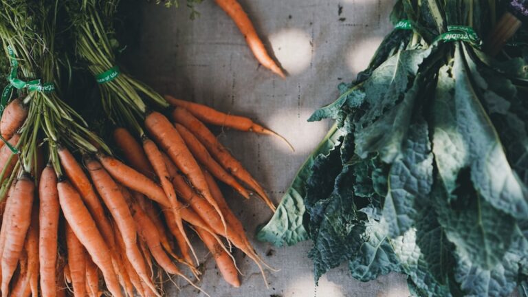 Photo Farmers market